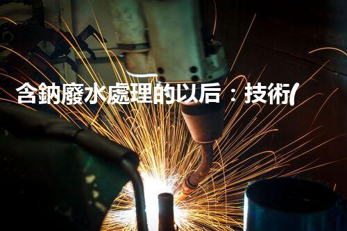 含鈉廢水處理的以后：技術(shù)革新與環(huán)保挑戰(zhàn)！